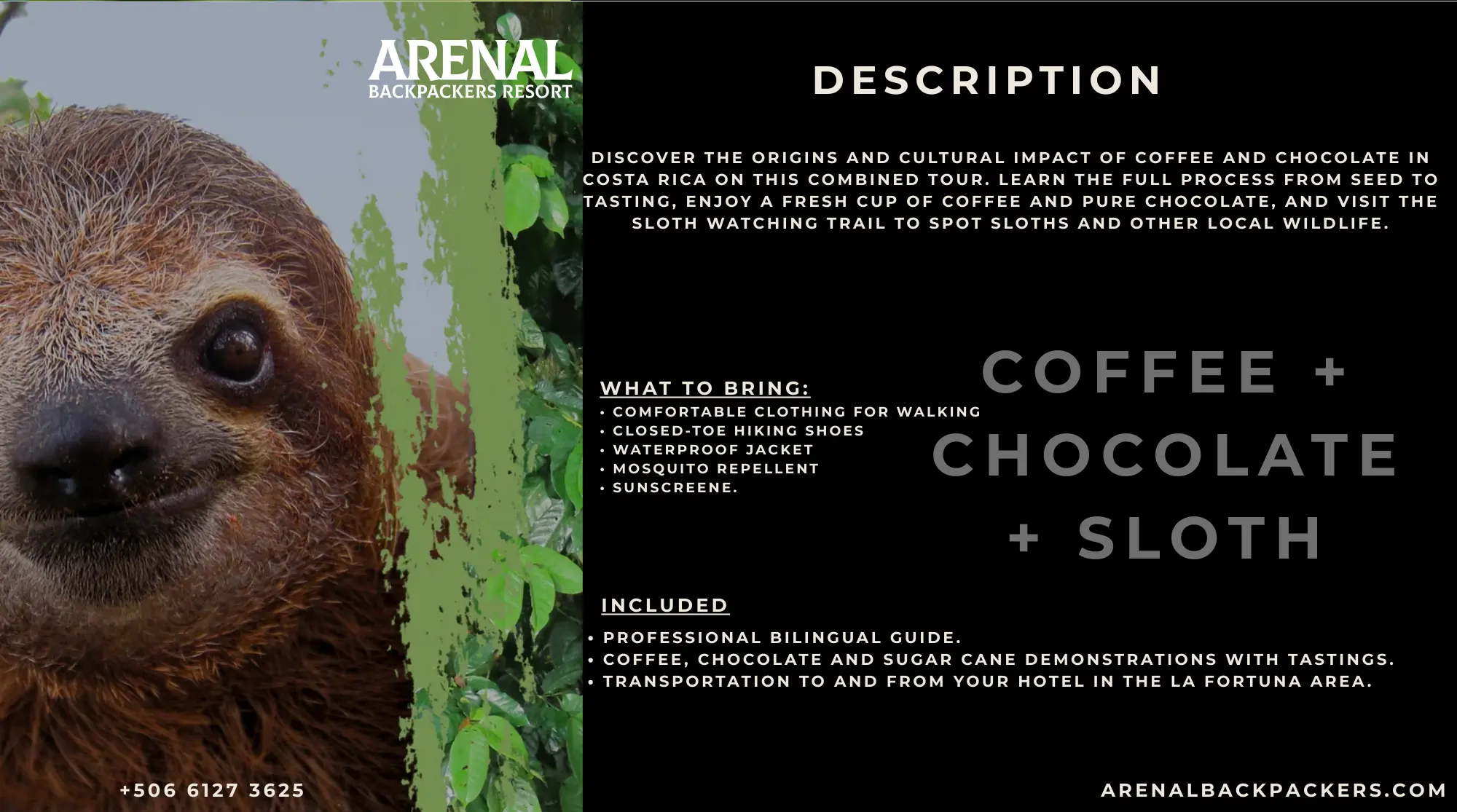 Coffee, Chocolate & Sloth information card