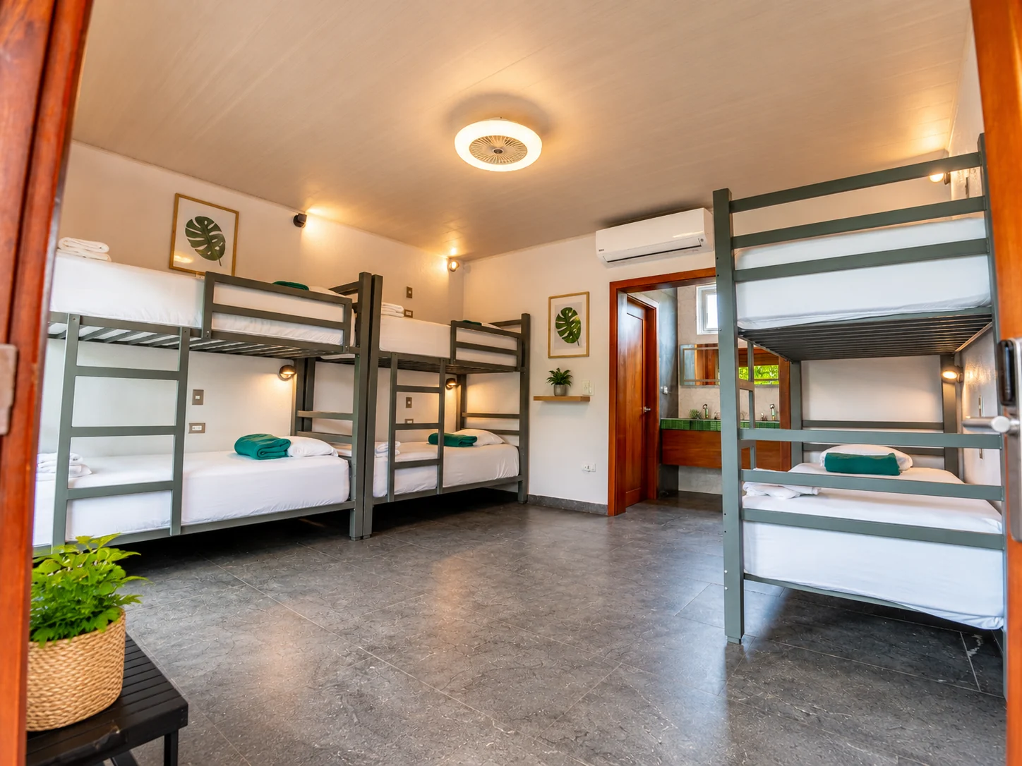 Shared Stories at Arenal Backpackers Resort