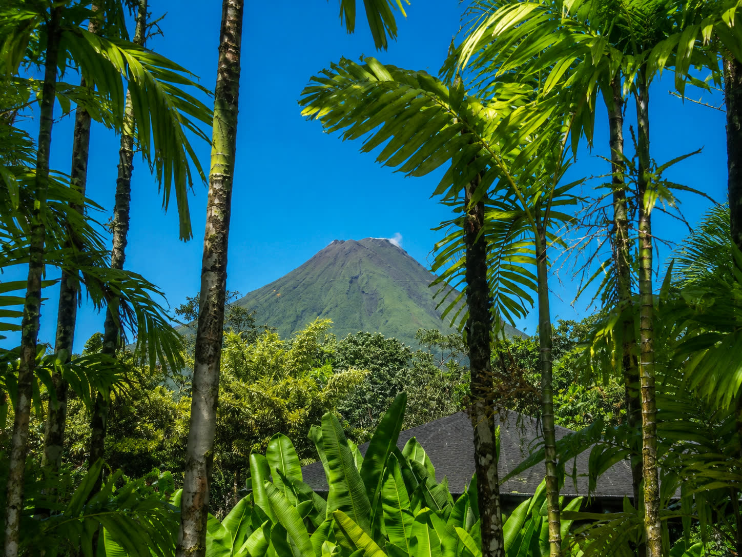 Tropical accommodation at Arenal Backpackers, a base for Arenal Volcano tours